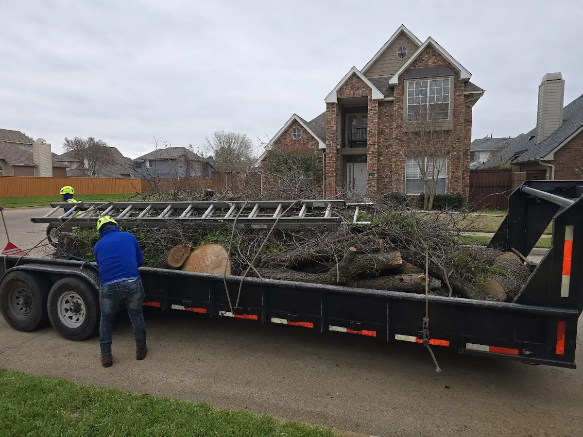 Expert Tree Removal with proper safety equipment in Birmingham